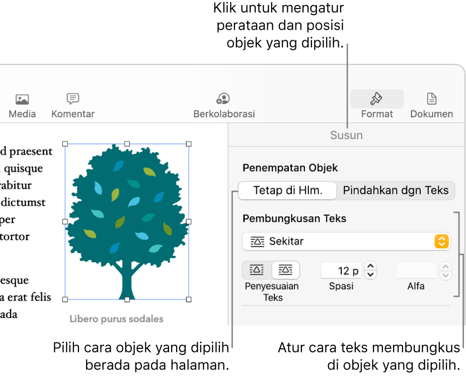 Menu Format dengan bar samping Atur ditampilkan. Pengaturan Penempatan Objek ada di bagian atas bar samping Atur, dengan pengaturan Pembungkusan Teks di bawah.