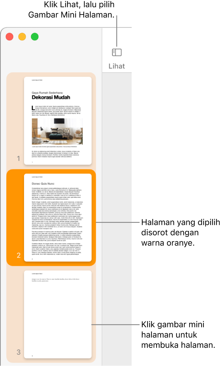 Bar samping di sisi kiri jendela Pages dengan tampilan Gambar Mini Halaman dan halaman yang dipilih disorot dalam oranye tua.