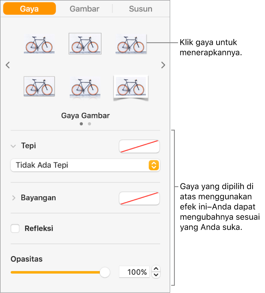 Tab Gaya pada bar samping Format menampilkan pilihan gaya objek.