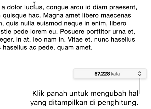 Menu jumlah kata yang menampilkan jumlah kata dalam dokumen.
