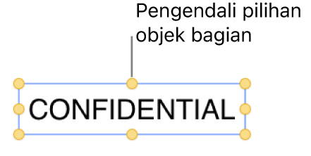 Objek dengan pengendali pilihan.