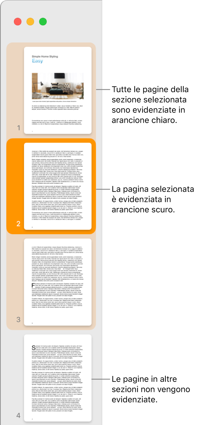 Barra laterale della vista miniature con la pagina selezionata evidenziata in arancione scuro e tutte le pagine della sezione selezionata sottolineate in arancione chiaro.