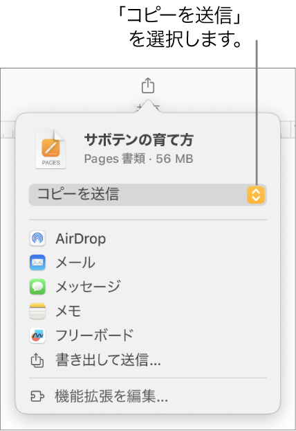 「共有」メニュー。上部で「コピーを送信」が選択されています。