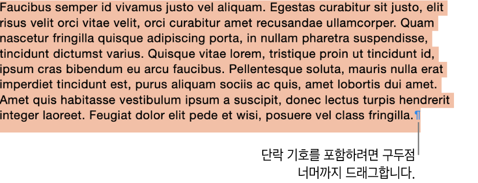 선택 영역에 단락 기호가 포함되어 있는 선택된 단락.