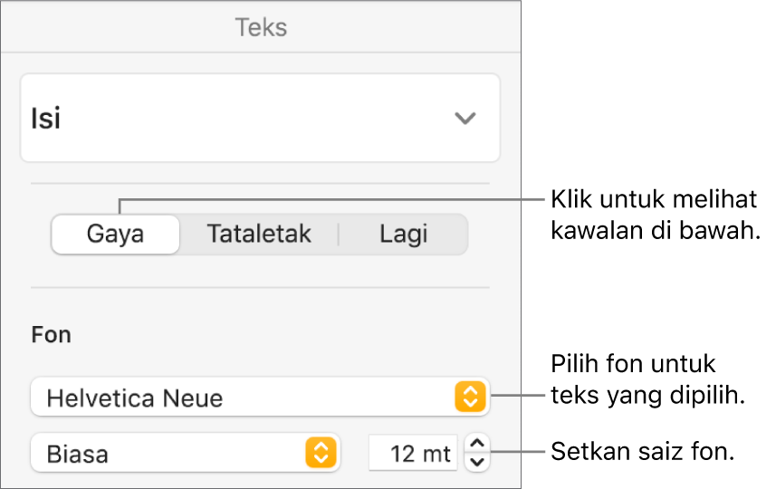 Kawalan teks dalam bahagian Gaya pada bar sisi Format untuk mengesetkan fon dan saiz fon.