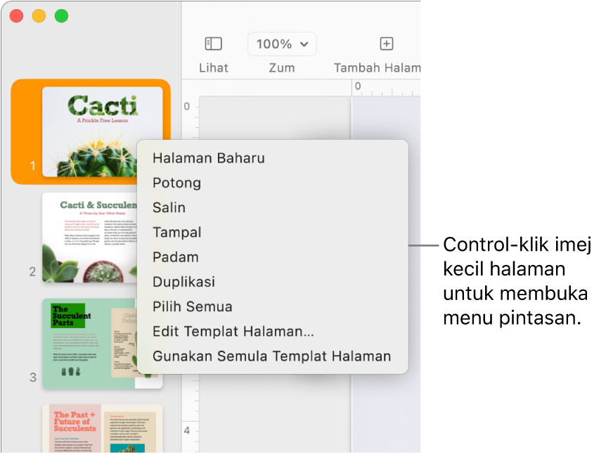 Paparan Imej Kecil Halaman dengan satu imej kecil dipilih dan menu pintasan dibuka.