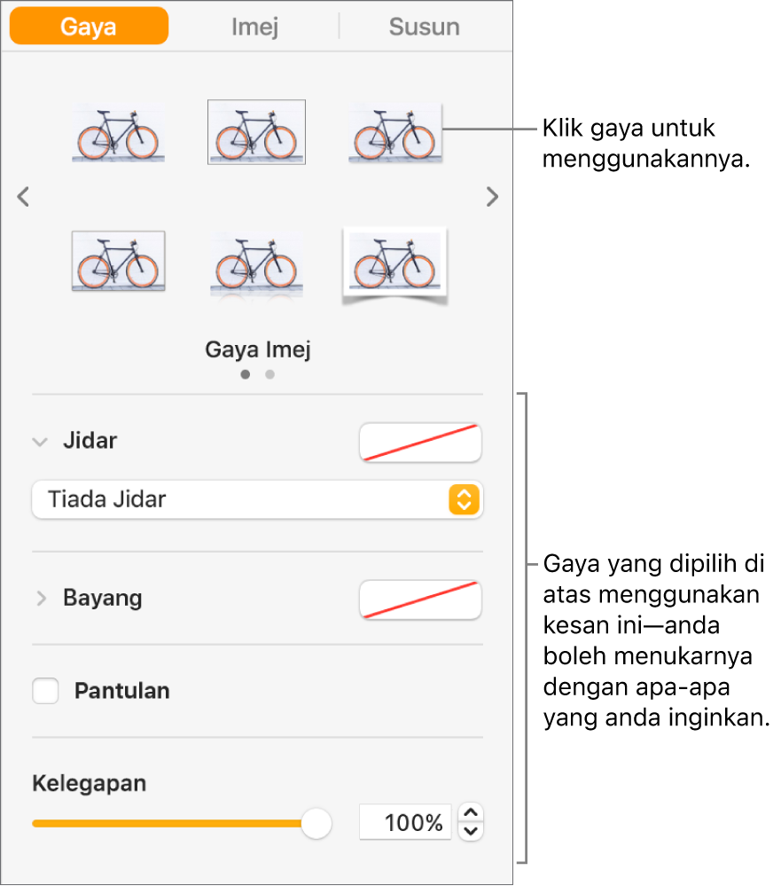 Tab Gaya pada bar sisi Format menunjukkan pilihan gaya objek.