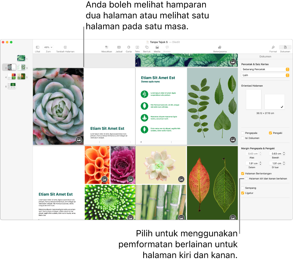 Tetingkap Pages dengan imej kecil halaman dan halaman dokumen yang dilihat sebagai hamparan dua halaman. Dalam bar sisi Dokumen di sebelah kanan, kotak semak “Halaman kiri dan kanan berlainan” dinyahpilih.