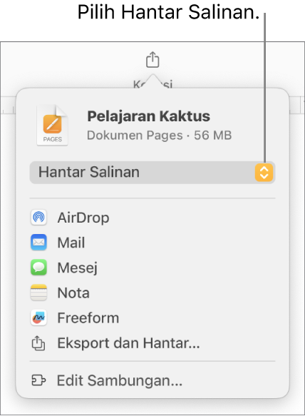 Menu Kongsi dengan Hantar Salinan dipilih di bahagian atas.