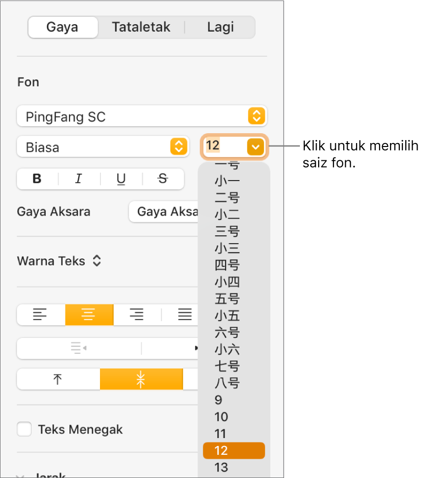 Bahagian Gaya pada bar sisi Format dengan menu timbul saiz fon dibuka. Saiz fon standard kerajaan Tanah Besar China kelihatan di bahagian atas menu timbul dengan saiz titik di bawah.