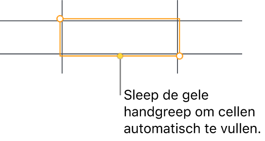 Een geselecteerde cel met een gele greep die je kunt slepen om cellen automatisch te vullen.