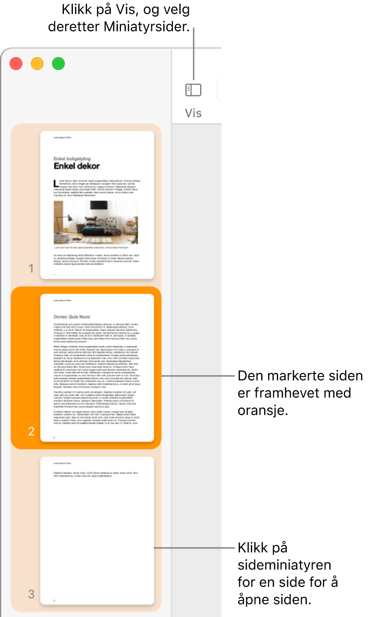 Sidepanelet til venstre for Pages-vinduet med sideminiatyrvisning åpent og en markert side uthevet i mørk oransje.