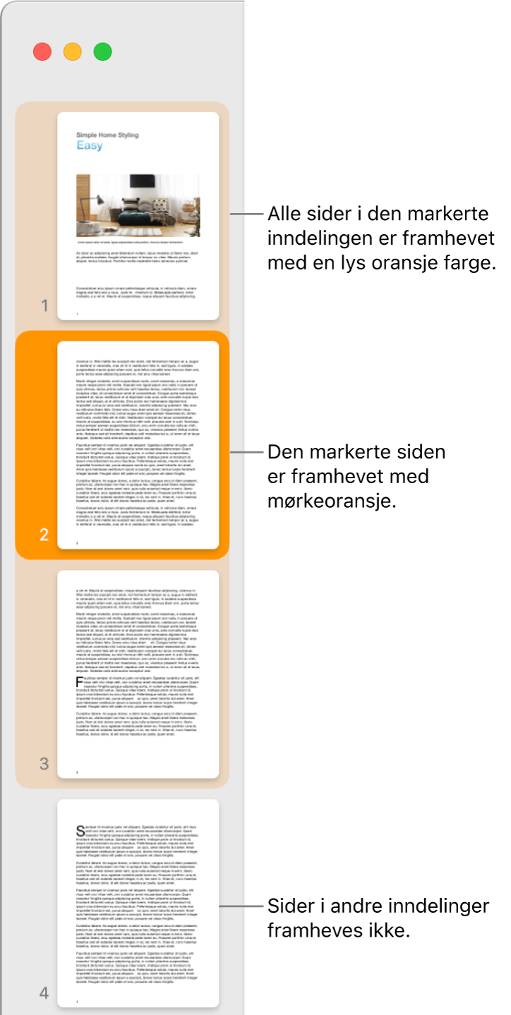 Miniatyrvisning-sidepanelet med den markerte siden uthevet i mørk oransje og alle sider i den markerte inndelingen uthevet i lys oransje.