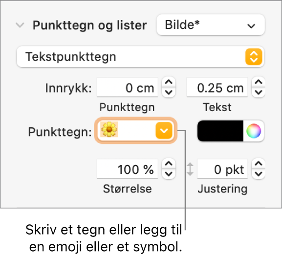 Punkttegn og lister-delen i Format-sidepanelet. Punkttegn-feltet viser en blomsteremoji.