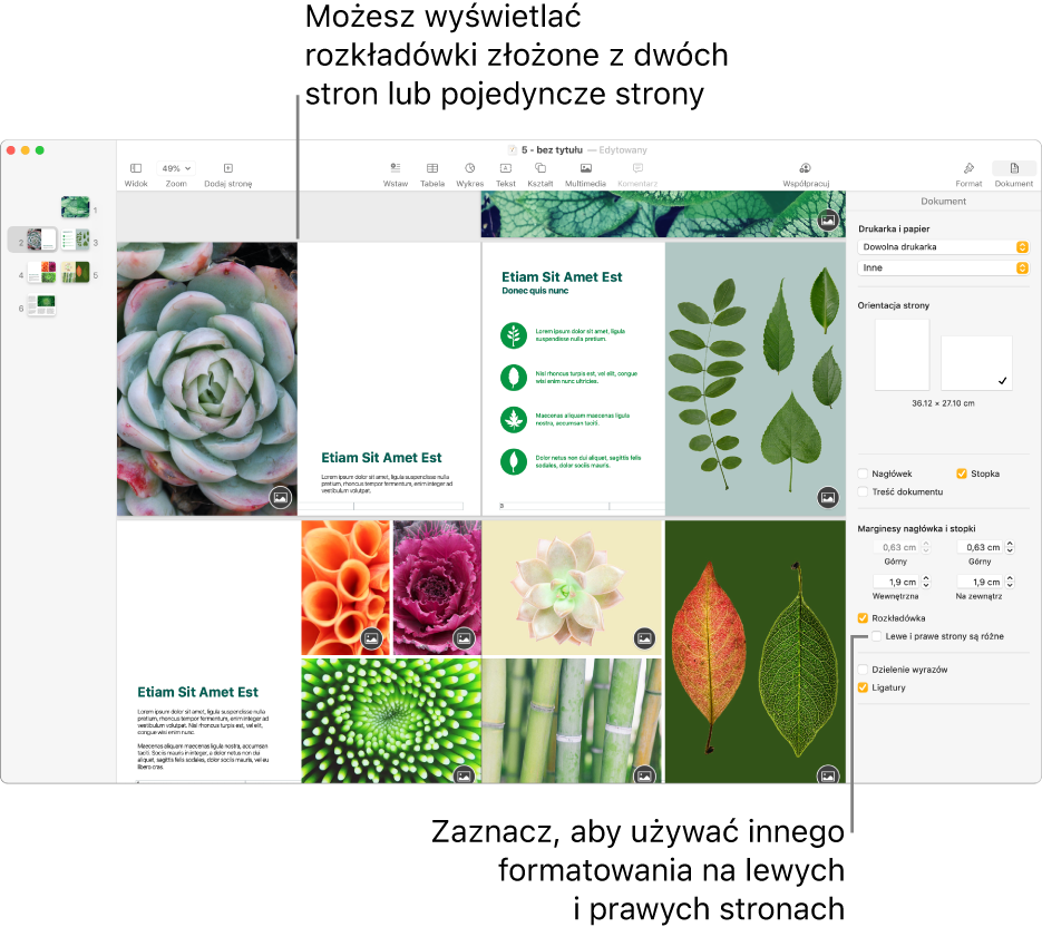 Okno Pages z miniaturkami stron oraz stronami dokumentu wyświetlanymi jako rozkładówka złożona z dwóch stron. Na widocznym po lewej stronie pasku bocznym Dokument znajduje się niezaznaczone pole wyboru Lewe i prawe strony są różne.