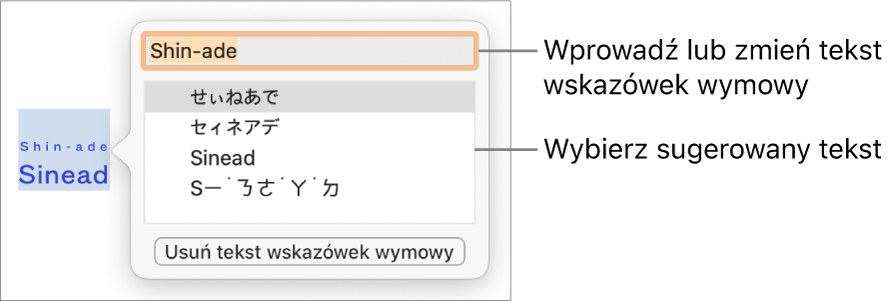 Wskazówki wymowy dla danego wyrazu. Etykiety wskazują pole tekstowe i sugerowany tekst.