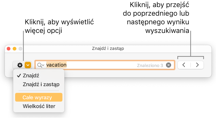 Okno Znajdź i zastąp z menu podręcznym zawierającym opcje Znajdź, Znajdź i zastąp, Całe wyrazy oraz Wielkość liter. Strzałki znajdujące się po prawej umożliwiają przechodzenie do poprzedniego lub następnego wyniku wyszukiwania.