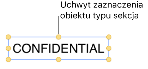 Obiekt z uchwytami zaznaczenia.