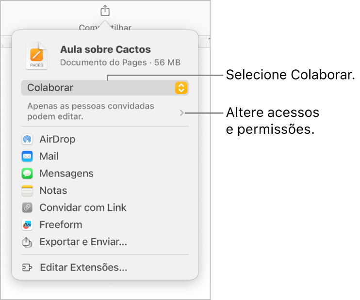 Menu Compartilhar com Colaborar selecionado na parte superior e os ajustes de acesso e permissão abaixo.