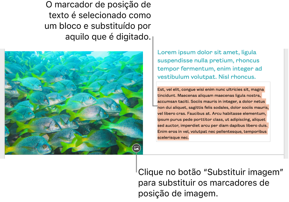 Texto e imagens do marcador de posição.