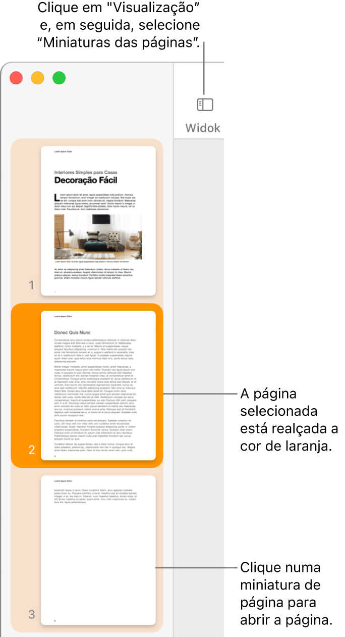 A barra lateral no lado esquerdo da janela do Pages com a vista de miniaturas das páginas aberta e uma página selecionada destacada a cor de laranja escuro.