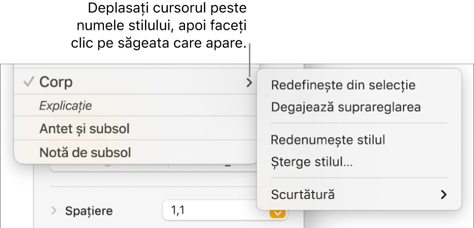 Meniul Stiluri de paragraf cu meniul de scurtături deschis.