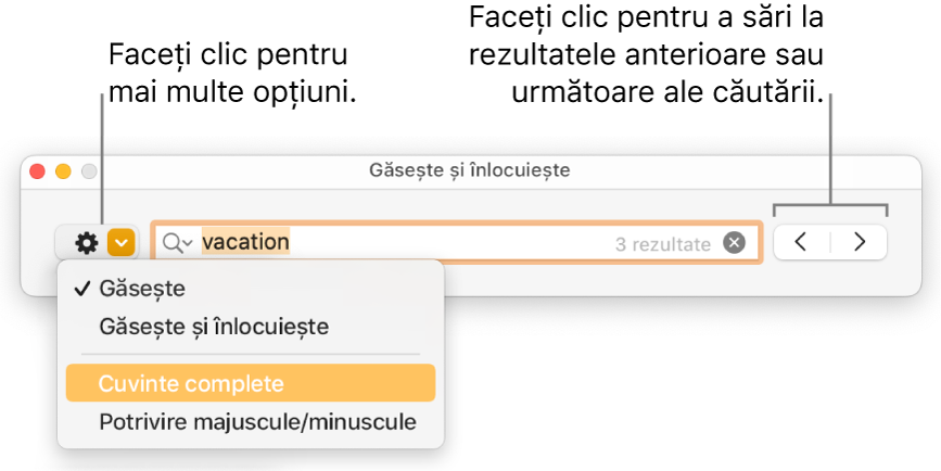 Fereastra Găsește și înlocuiește cu meniul pop-up afișând opțiunile Găsește, Găsește și înlocuiește, Cuvinte complete și Majuscule/minuscule. Săgețile din dreapta vă permit să treceți la rezultatele anterioare sau următoare ale căutării.