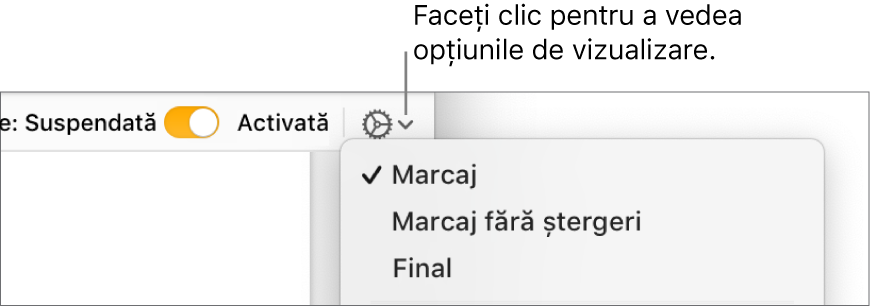 Meniul de opțiuni pentru revizuire afișând Marcaj, Marcaj fără ștergeri și Final.