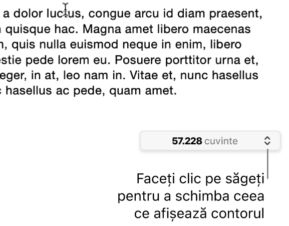 Meniul cu numărul de cuvinte afișând numărul de cuvinte din document.