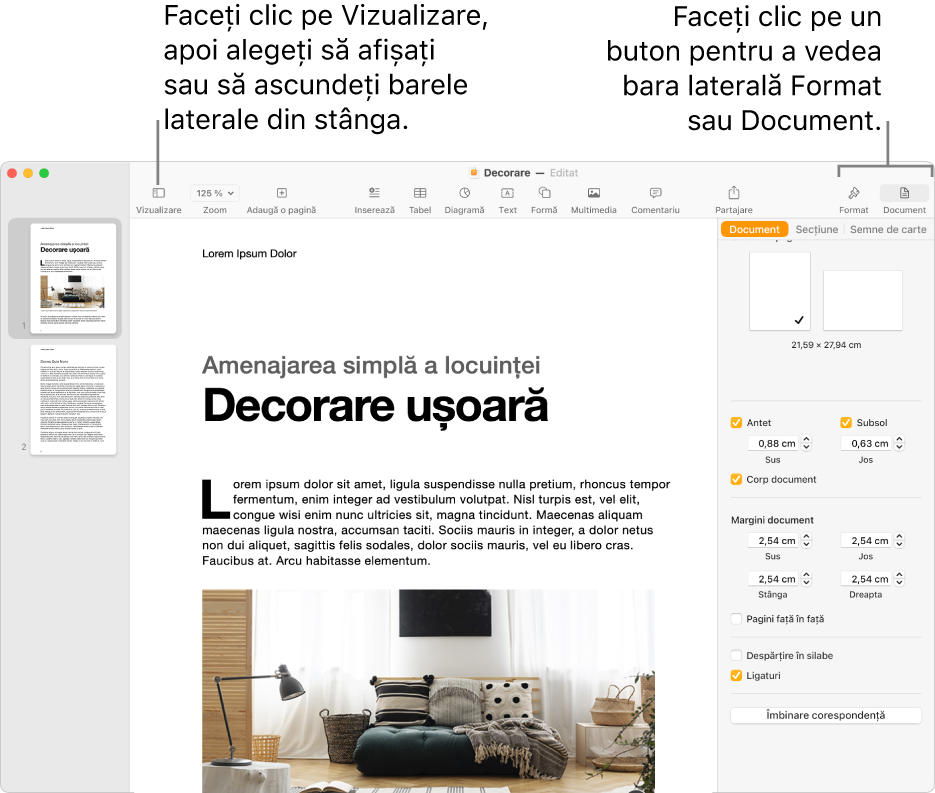 Fereastra Pages cu explicații pentru butonul meniului Vizualizare și butoanele Format și Document din bara de instrumente. Barele laterale se deschid în partea stângă și în partea dreaptă