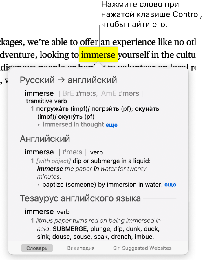 Абзац с выделенным словом и окно, в котором показано определение слова и статья толкового словаря. Кнопки внизу окна обеспечивают доступ к словарю, Википедии, предложенным Siri сайтам.