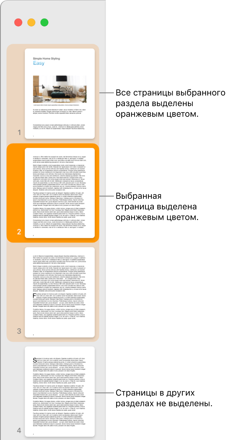 Режим просмотра миниатюр. Выбранная страница выделена темно-оранжевым цветом, все страницы выбранного раздела выделены светло-оранжевым цветом.