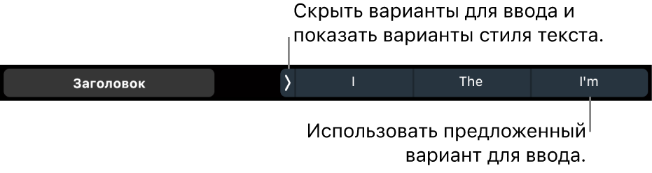 Панель Touch Bar на MacBook Pro. Отображаются элементы управления для выбора стиля текста, скрытия подсказок при вводе и вставки подсказок при вводе.