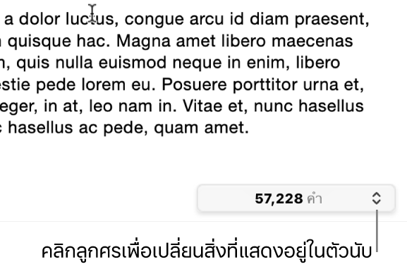 เมนูจำนวนคำแสดงจำนวนของคำในเอกสาร