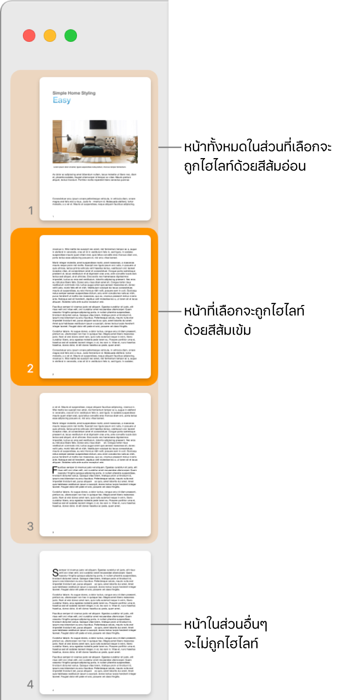 แถบด้านข้างมุมมองรูปย่อที่มีหน้าที่ถูกเลือกไฮไลท์ด้วยสีส้มเข้ม และหน้าทั้งหมดในส่วนที่เลือกถูกไฮไลท์ด้วยสีส้มอ่อน