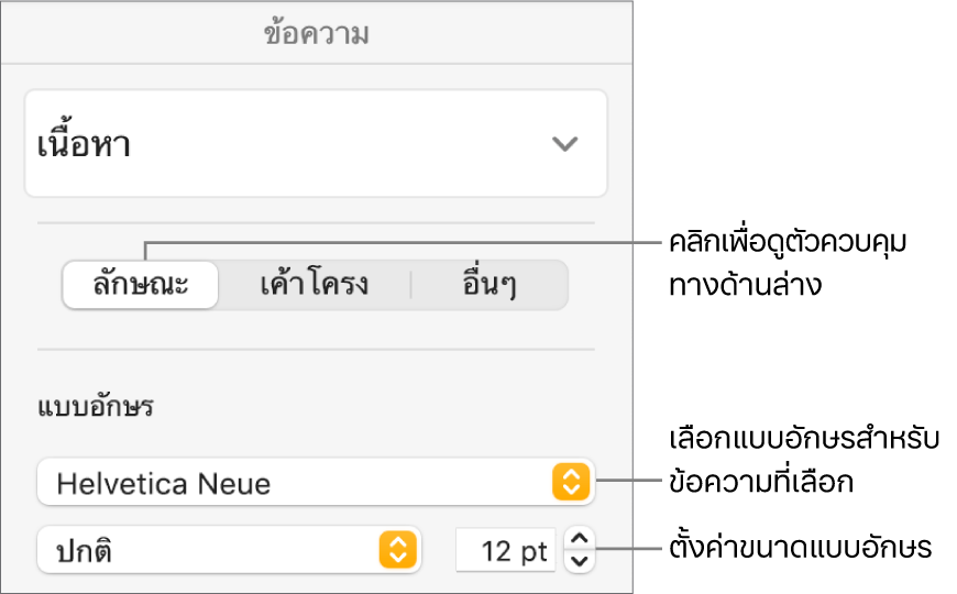 ตัวควบคุมข้อความในส่วนลักษณะของแถบด้านข้างรูปแบบสำหรับตั้งค่าแบบอักษรและขนาดแบบอักษร