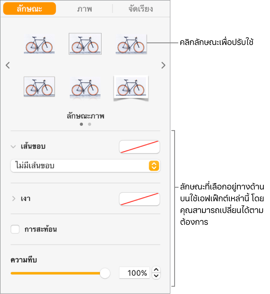 แถบลักษณะของแถบด้านข้างรูปแบบที่แสดงตัวเลือกลักษณะวัตถุ