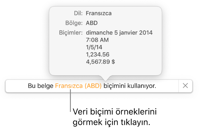 O dil ve bölgede kullanılan biçimlendirme örneklerini gösteren, farklı dil ve bölge ayarı bildirimi.