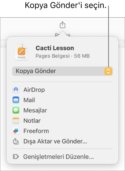 Paylaş menüsü, en üstte Kopya Gönder seçili.