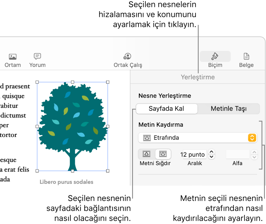 Yerleştir kenar çubuğu görüntülenen Biçim menüsü. Nesne Yerleştirme ayarları, Yerleştir kenar çubuğunun en üstünde, altında Metin Kaydırma ayarları ile yer alır.