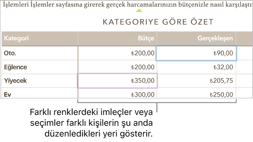 Farklı renklerdeki imleçler ve seçimler, farklı kişilerin nereyi düzenlediğini gösterir.