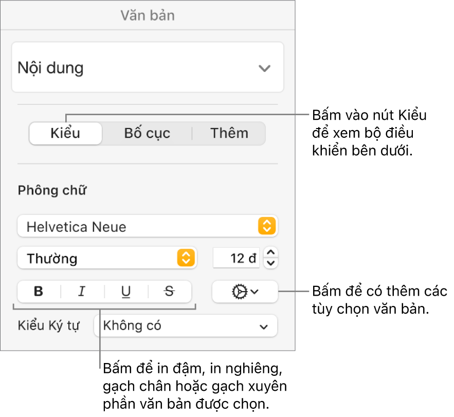 Các điều khiển Kiểu trong thanh bên Định dạng với các lời nhắc đến các nút Đậm, Nghiêng, Gạch chân và Gạch xuyên.