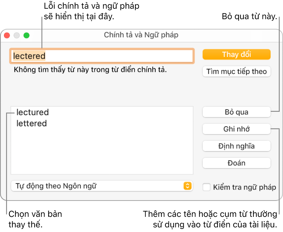 Cửa sổ Chính tả và ngữ pháp.