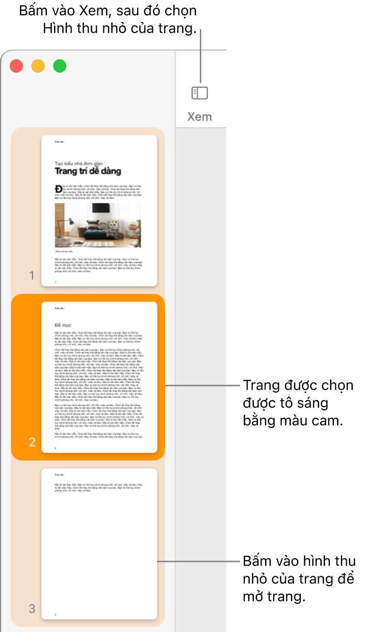 Thanh bên ở bên trái của cửa sổ Pages với chế độ xem Hình thu nhỏ của trang được mở và trang được chọn được tô sáng ở màu cam sẫm.