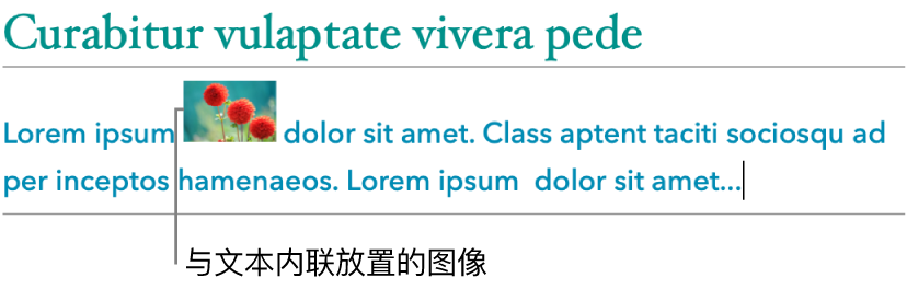 与文本内联放置的图像。