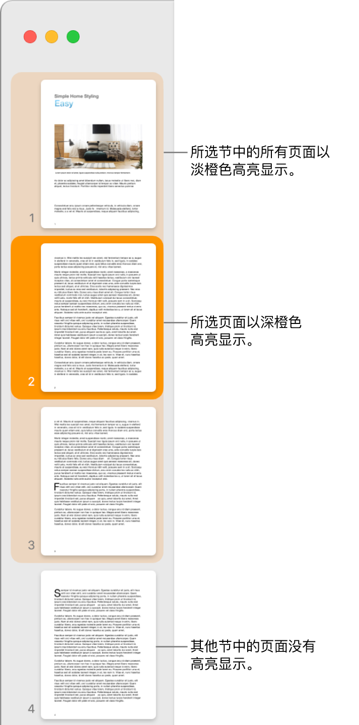 “缩略图视图”边栏，带有以深橙色高亮标记的所选页面以及以浅橙色高亮标记的所选节中的所有页面。