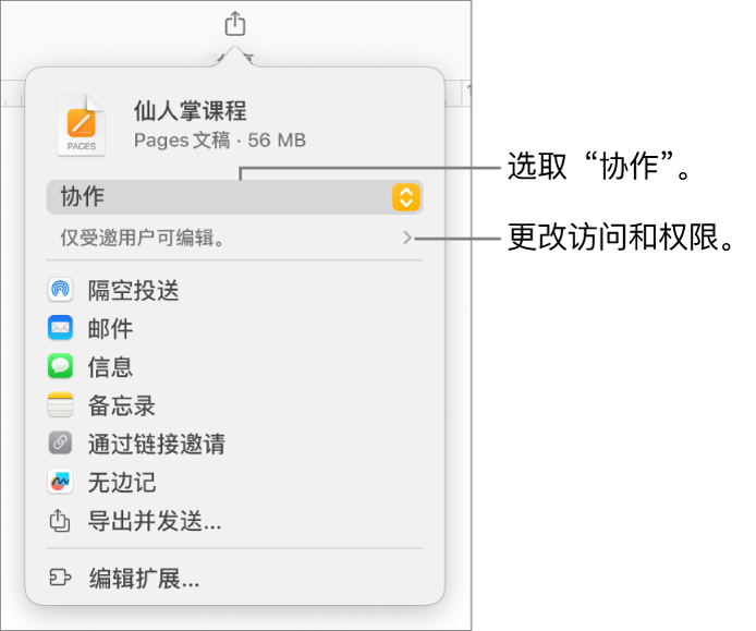 “共享”菜单，顶部已选中“协作”，下方是访问和权限设置。