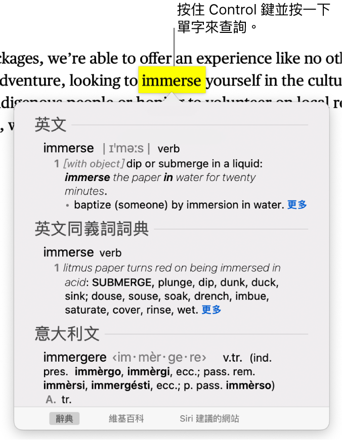 段落包括重點標示的單字，一個視窗顯示其定義和同義詞詞條。視窗底部的按鈕提供了前往字典、維基百科和 Siri 建議的網站之連結。