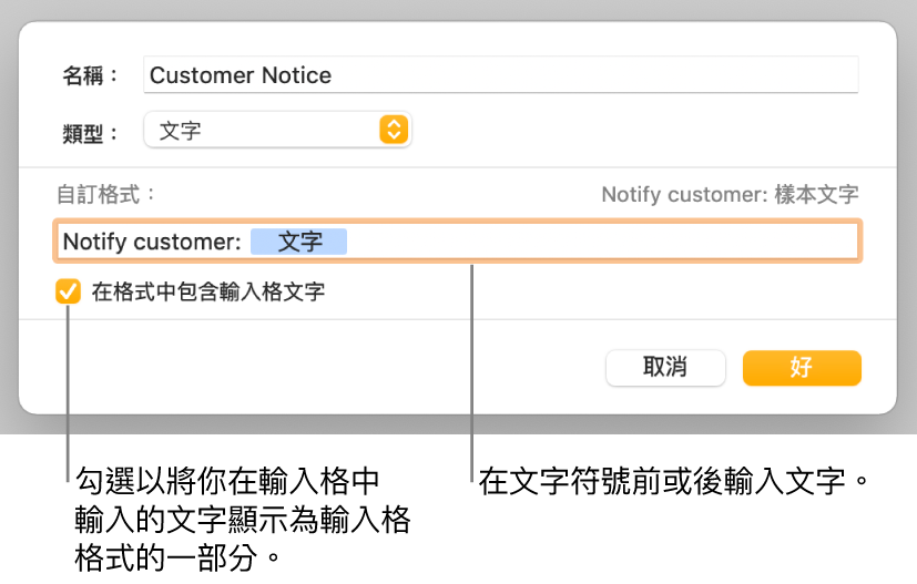 帶有控制項目的自訂輸入格格式視窗，用來選擇自訂文字格式。