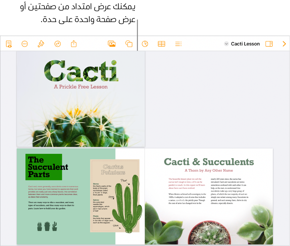 مستند يحتوي على صفحات معروضة كمجموعة امتداد من صفحتين.